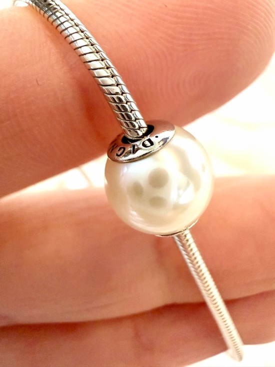 RARE❗️ Retired PANDORA ESSENCE Set of 2 Bracelets & 4 Charms - Picture 14 of 17